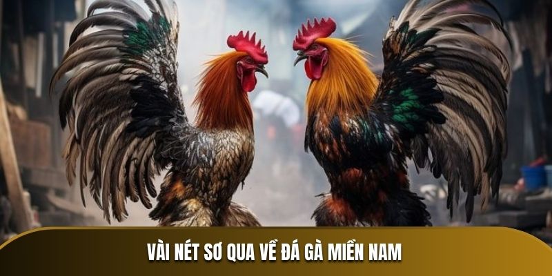 Đôi nét về đá gà miền Nam